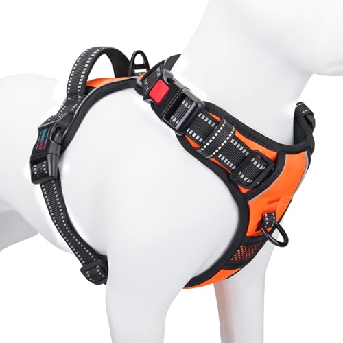 PHOEPET No-Pull Reflective Harness