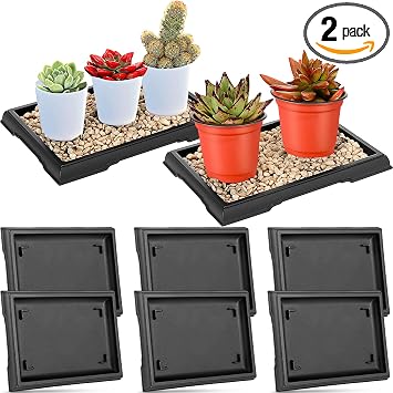 Pinkunn Bonsai Humidity Trays (2)
