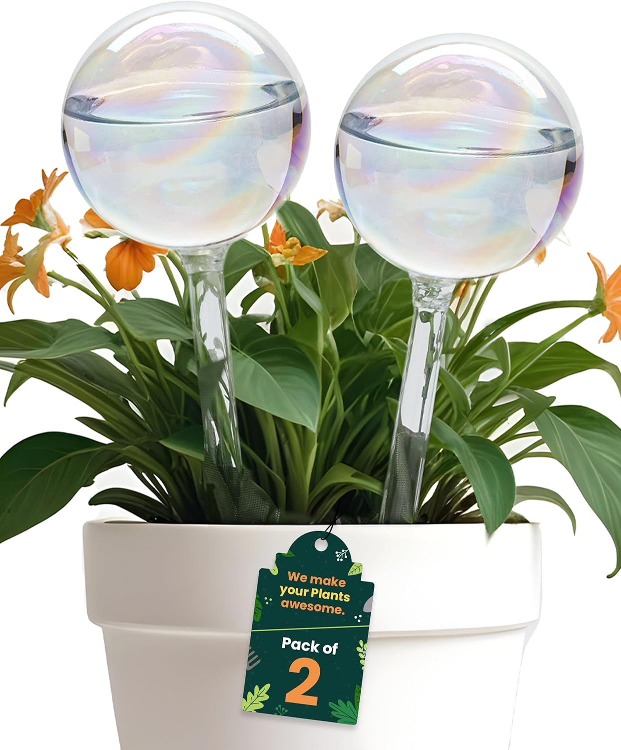 Iridescent Self-Watering Globes (2)