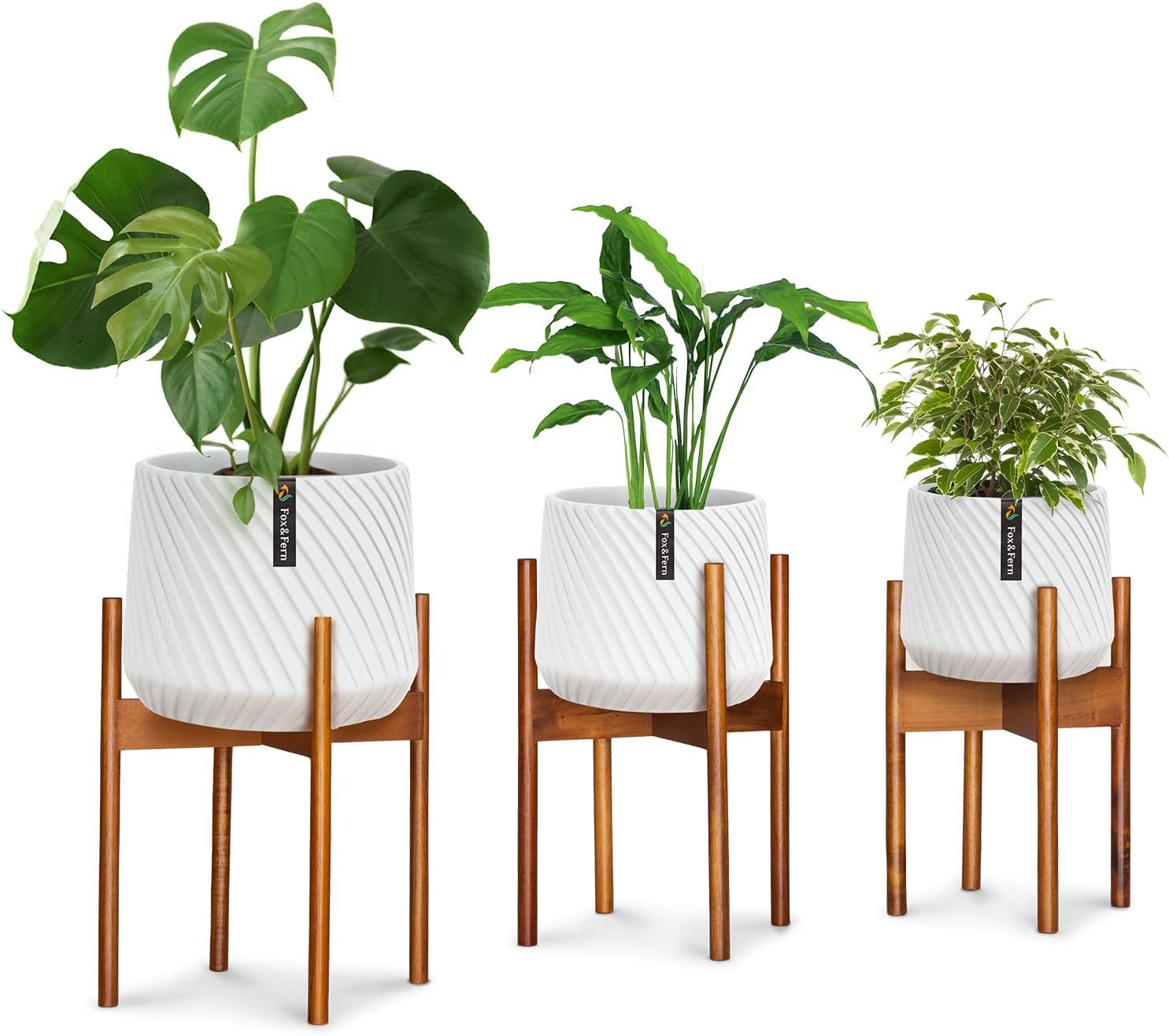 Mid-Century Plant Stand
