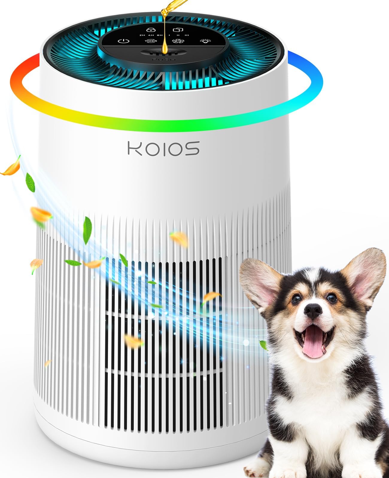HEPA Air Purifier for Pet Dander