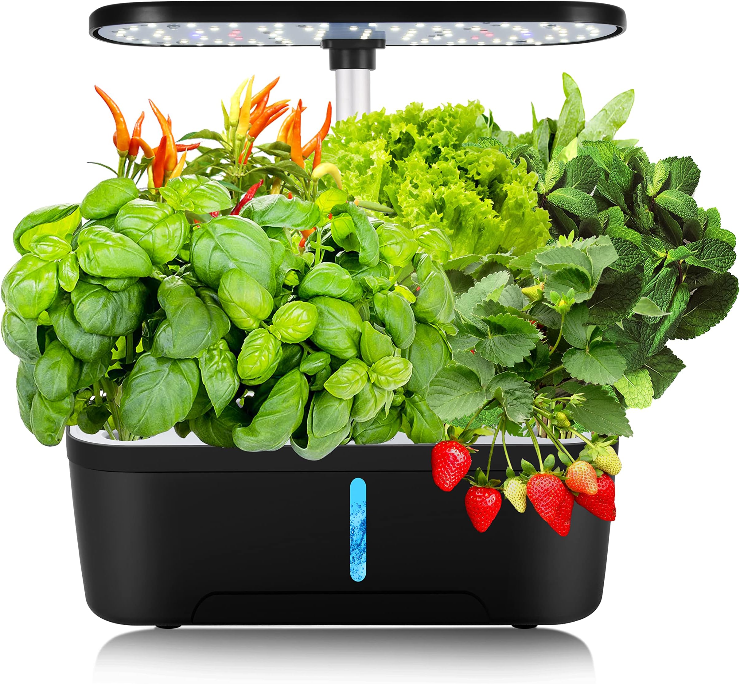 Indoor Herb Garden Kit (Countertop)